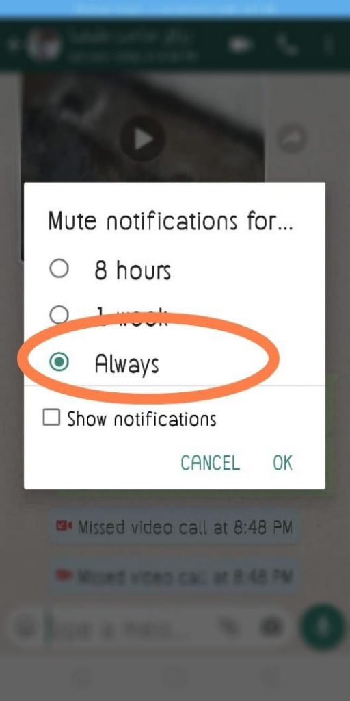 whatsapp new feature always mute option