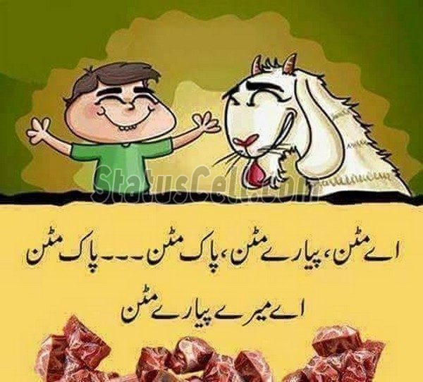 download free FUNNY EID unique status from status cell