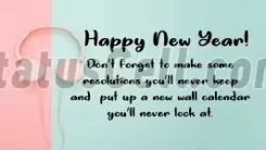 Fun New Year wish