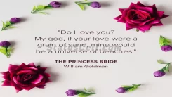 Princess Bride-WILLIAM GOLDMAN