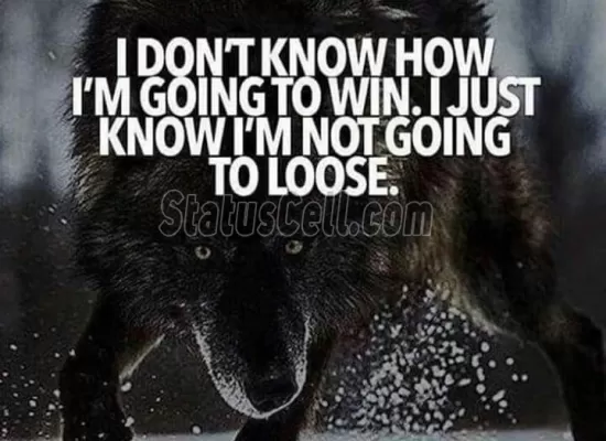 I am going to win. .!