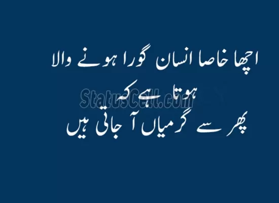 download funny urdu quote free whatsaap status cell