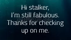 Hi ...Stalker