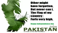 FLAG OF PAKISTAN
