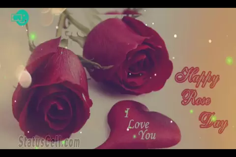 Rose day-love status