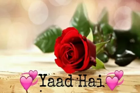 Aaj Valentines Day Hai Dialogue