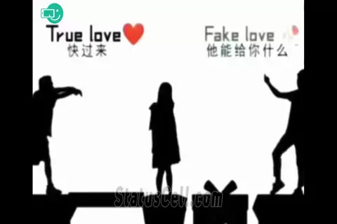 True LOVE VS Fake LOVE